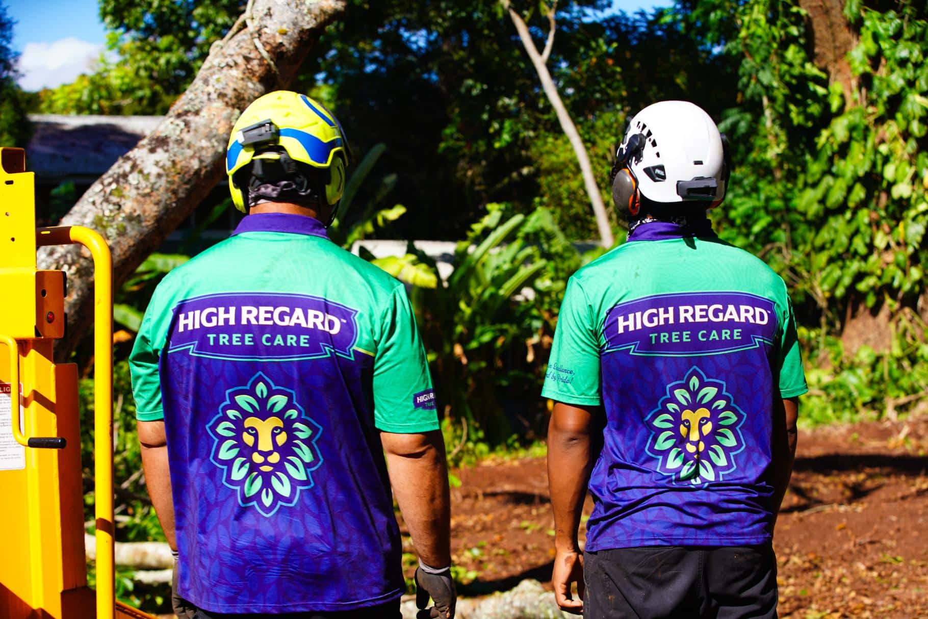 High Regard Mililani Town