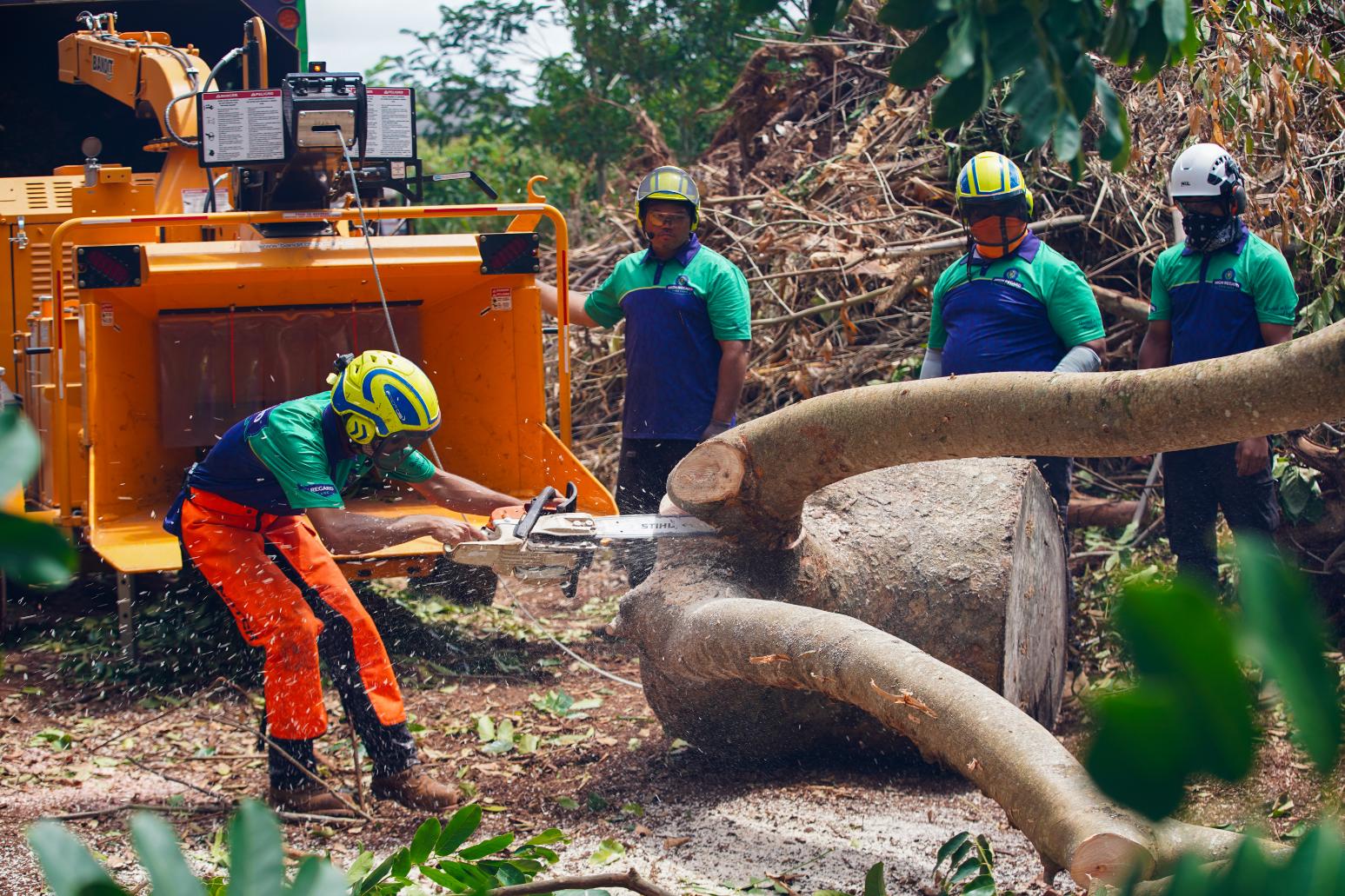 High Regard Kaimukī